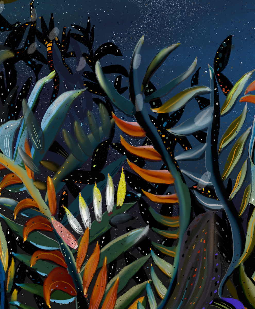 Give Me a Home Illustration Print